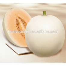 MSM061 Baiyu high production pure white hybrid sweet melon seeds for planting